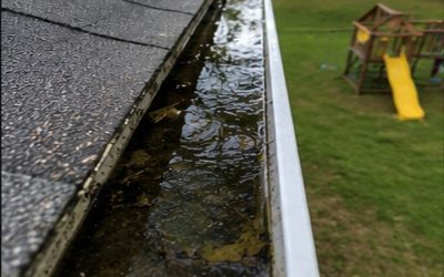 How Clogged Gutters Can Make Mosquito Problems Worse Around Georgia Homes