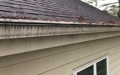 The Georgia Homeowner’s Guide to Gutter Sludge, Roof Grit, and Black Streaks