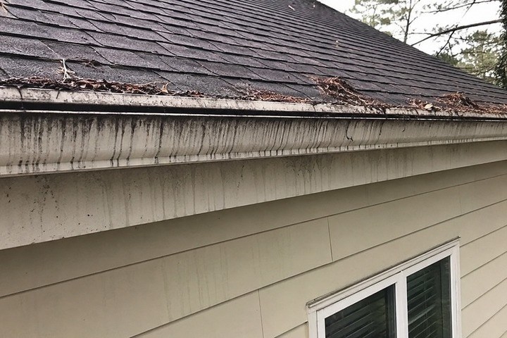 Black tiger-stripe streaks staining the face of a white gutter on a Georgia home, with leaf debris at the roof valley
