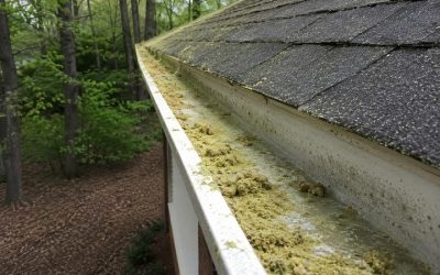 The Hidden Gutter Problem After Georgia’s Pollen Season