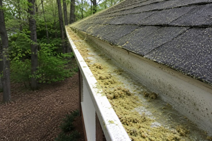 The Hidden Gutter Problem After Georgia’s Pollen Season