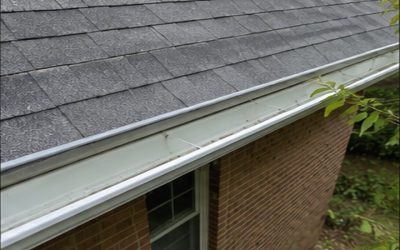 The “Looks Clean From the Ground” Gutter Problem in Georgia