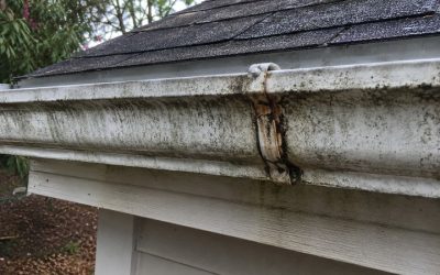 What Savannah’s Humidity Does to Gutters That Most Homeowners Miss
