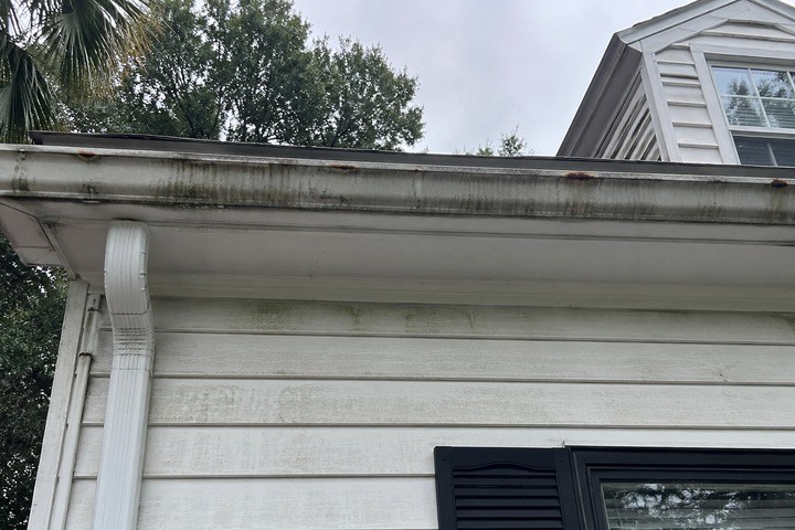 Mildew and algae streaks running down a white gutter, fascia, and siding on a humid coastal Georgia home