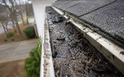 Why Georgia Gutters Clog Even When There Are No Trees Over the Roof