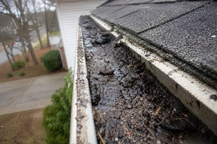 Why Georgia Gutters Clog Even When There Are No Trees Over the Roof