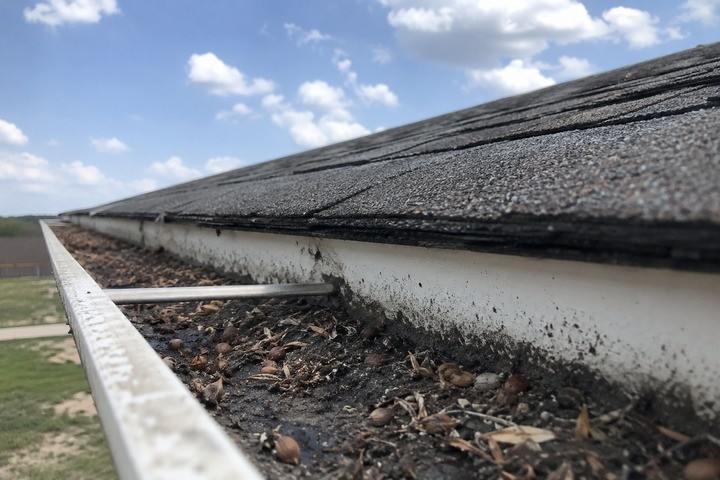 Shingle grit and seed debris collecting in an open gutter under a clear Georgia sky with no trees nearby