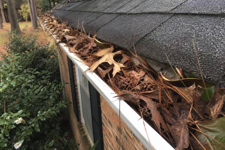 Georgia gutter overflowing with oak leaves, pine needles and sweetgum balls on a brick home