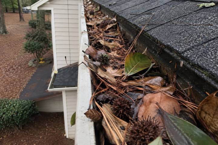 Close up of a gutter crammed with magnolia leaves, pine straw and sweetgum balls on a Georgia roofline