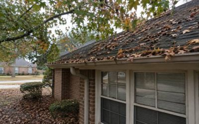 When Do Leaves Actually Fall in Georgia? A Gutter Owner’s Timeline