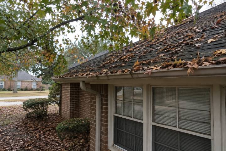 Sweetgum leaves and seed balls collecting along the gutter line of a brick Georgia home in late fall
