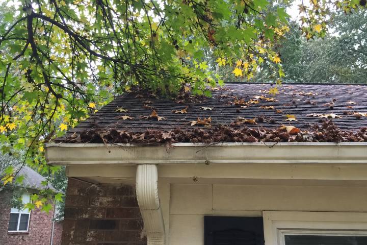 Autumn leaves piling against a clogged gutter under an overhanging Georgia tree canopy