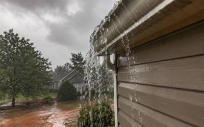 Where Should Your Downspouts Drain in Georgia’s Red Clay Yards?